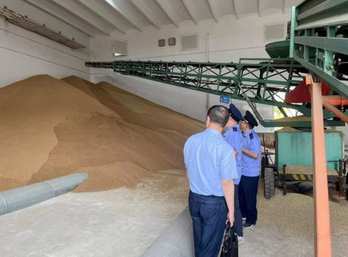 違規(guī)收購(gòu)糧食被罰10萬(wàn)元，南京公布一批典型案例加強(qiáng)糧食市場(chǎng)管理