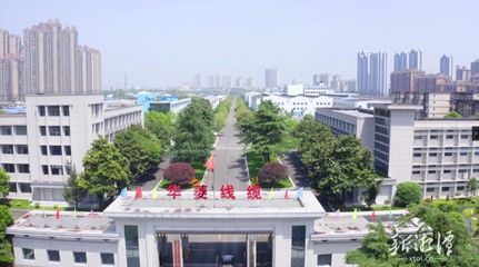 特種電纜 現代科技產業的“隱形血脈”